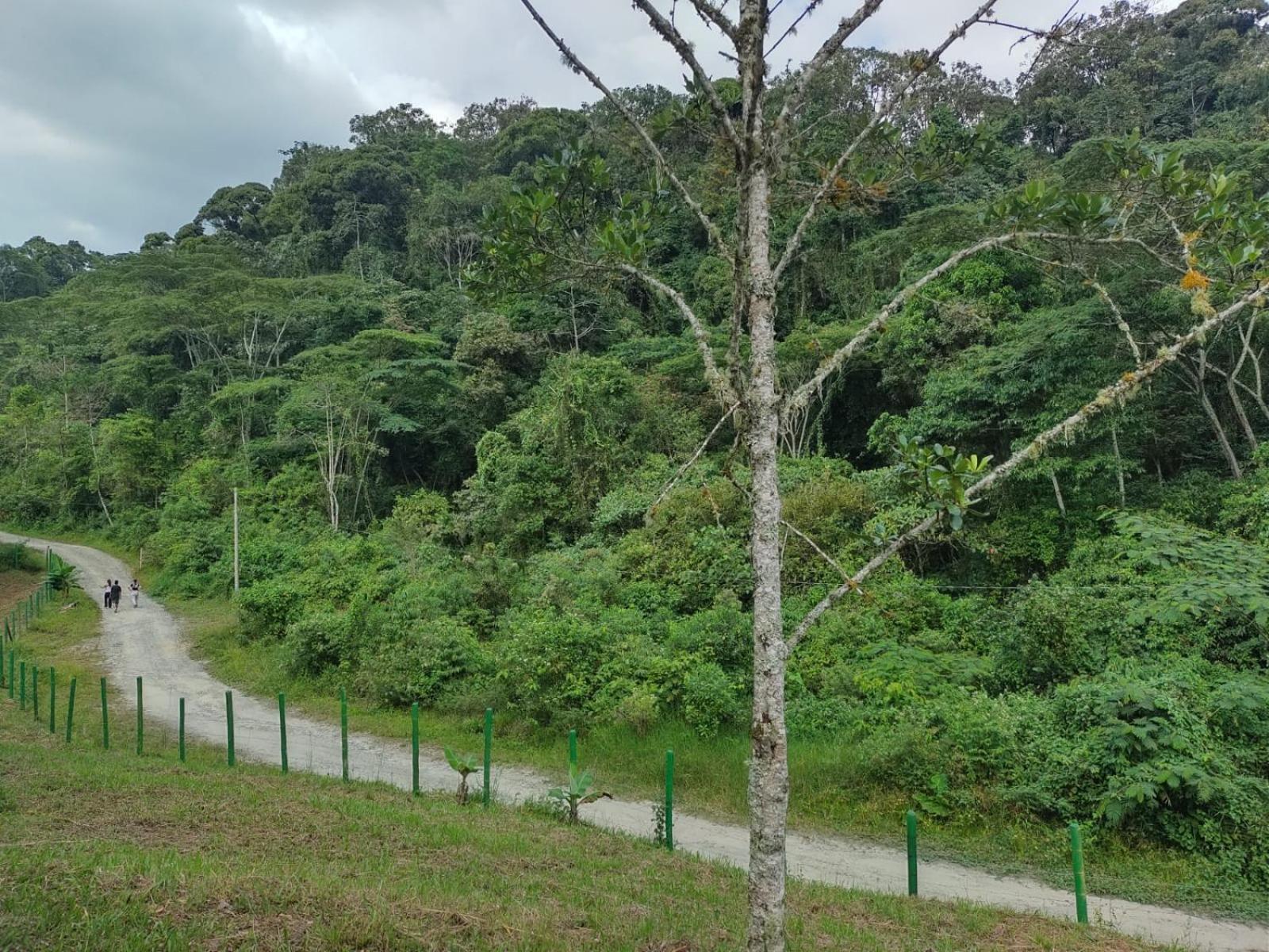 Eco Birdland En Valle Buga