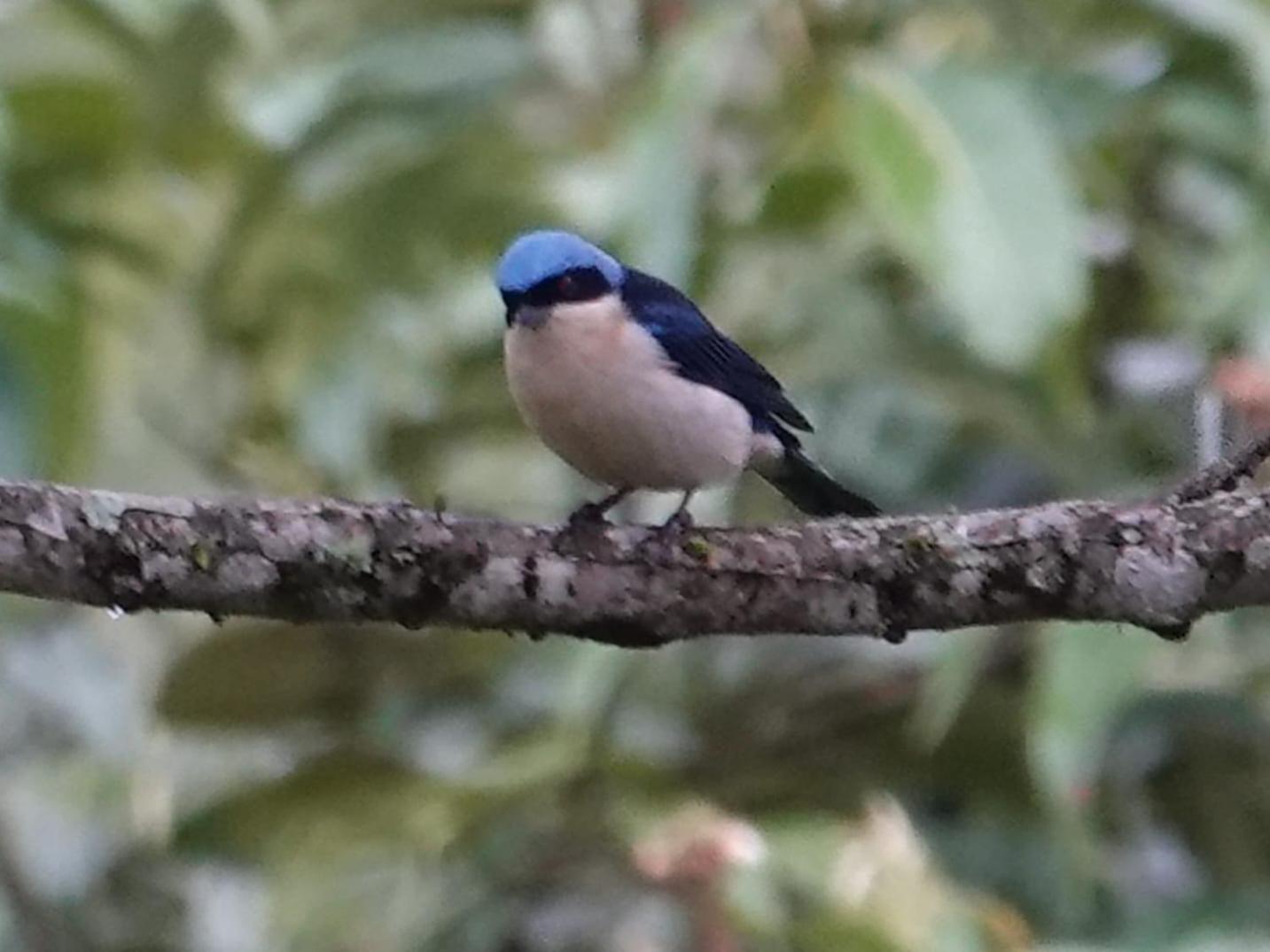 Country house Eco Birdland En Valle Buga
