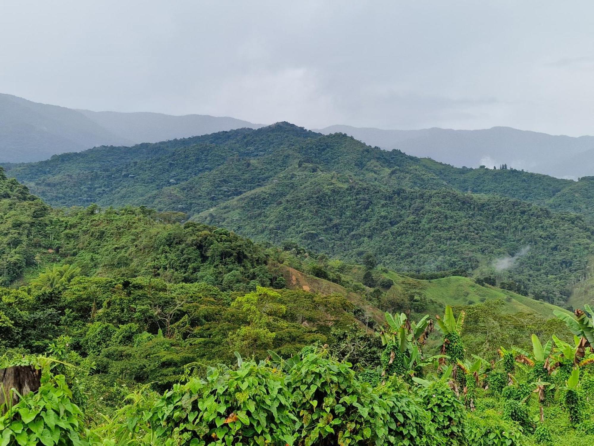 Eco Birdland En Valle * Buga