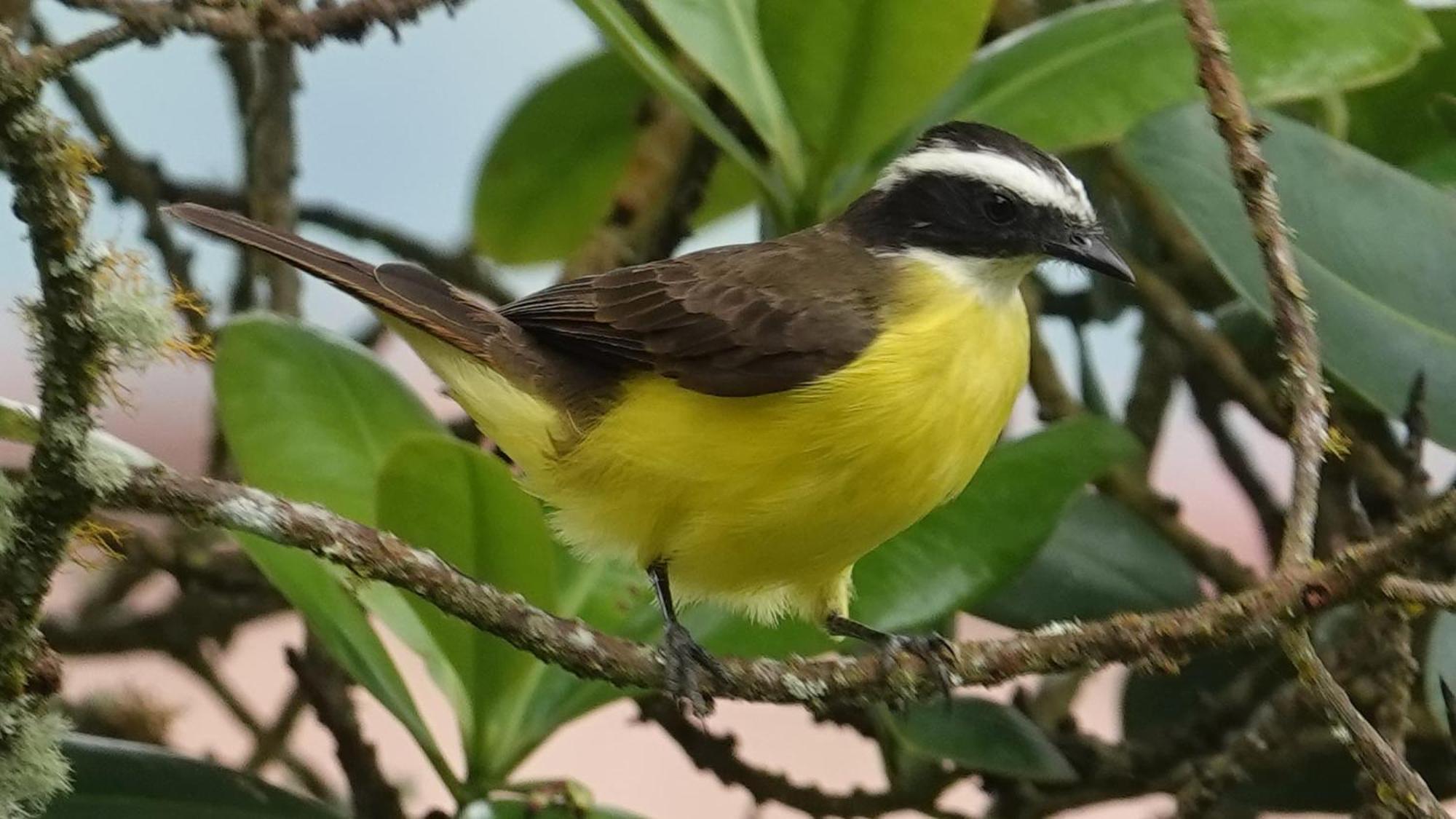 Country house Eco Birdland En Valle