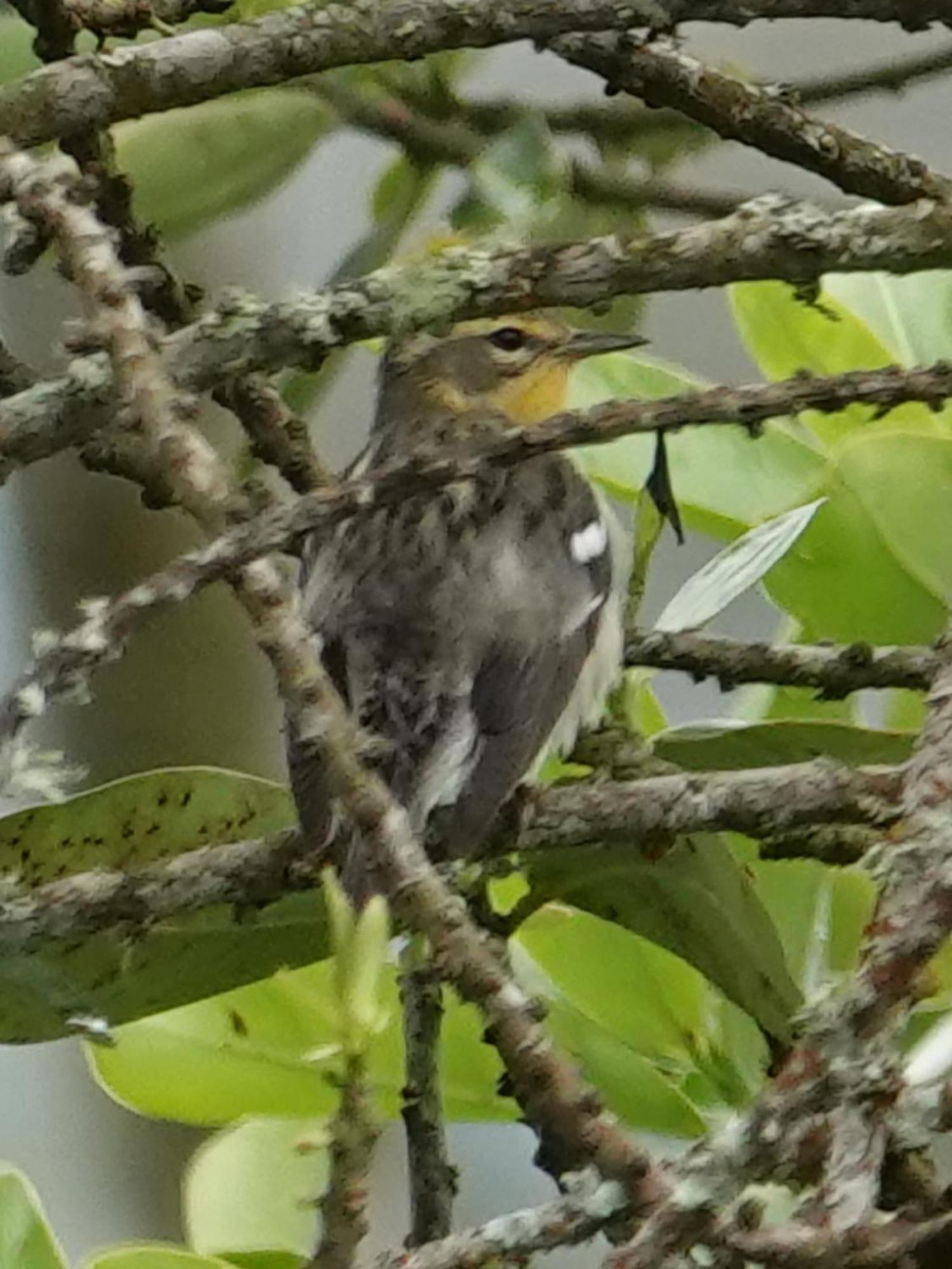 Country house Eco Birdland En Valle Buga