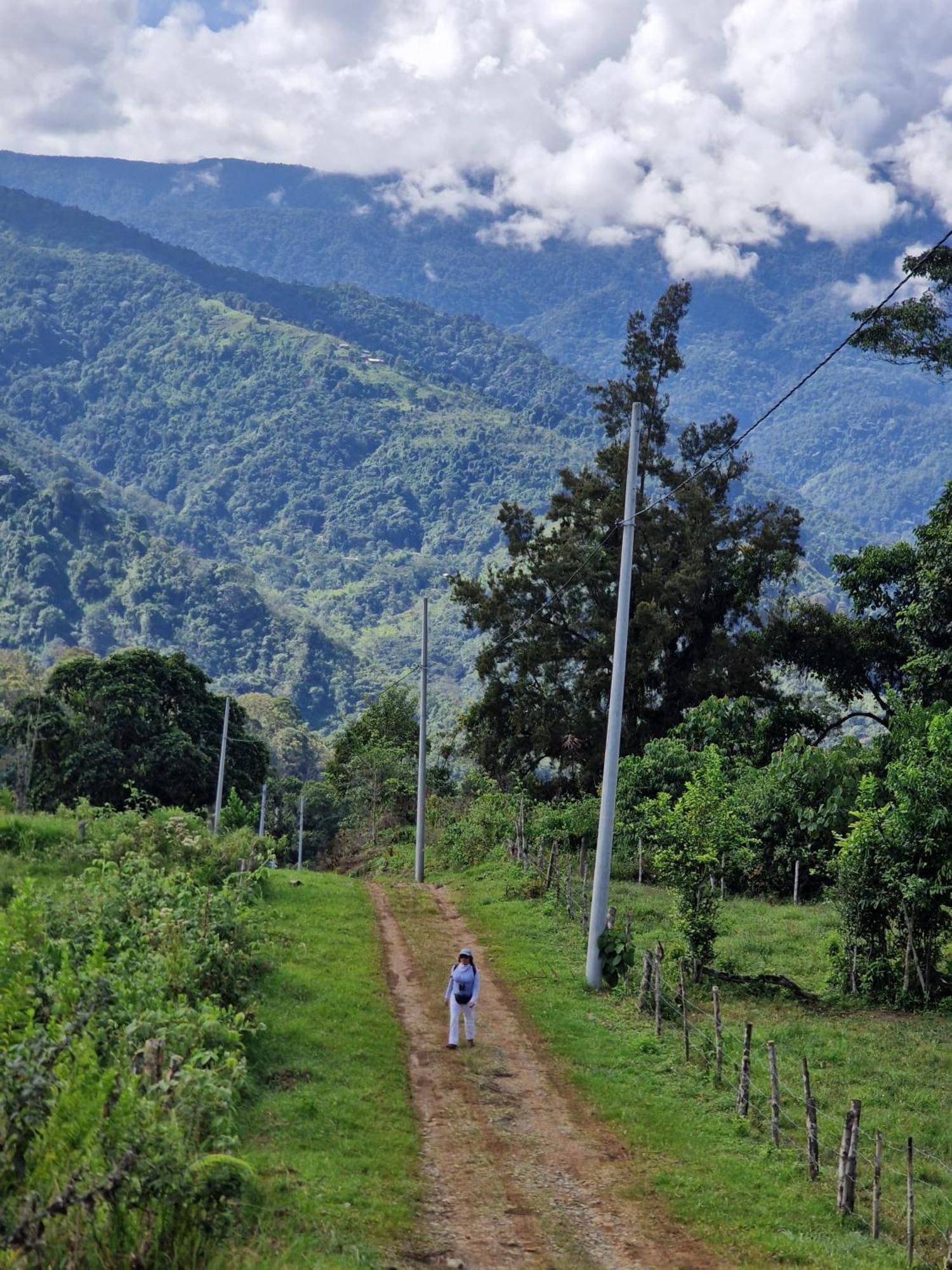 Eco Birdland En Valle Buga